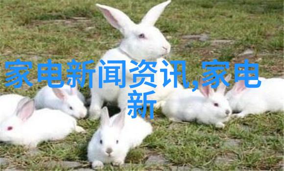 单硝酸异山梨酯氯化钠注射液