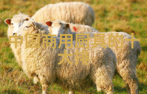 小型单冲压片机价格