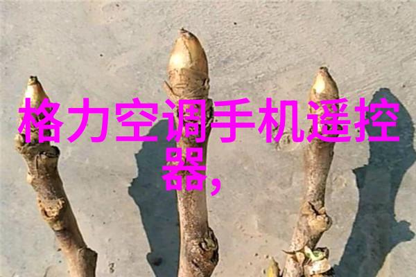 安岳秦徐高级中学即将全面建成