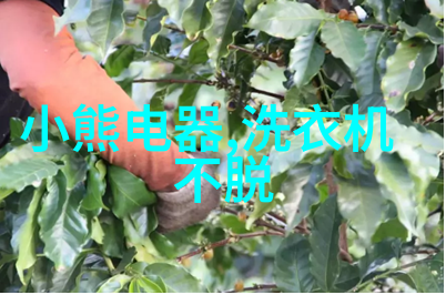 自动冻力测试仪